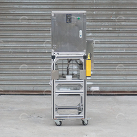Hoge snelheid commerciële fruitenschiller, citrusschilmachine voor sinaasappel, appel, kiwi, perzik
