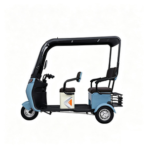 Vélo électrique à trois roues, tricycle électrique pour adultes, tricycle électrique cargo, tricycle électrique pour personnes âgées, tricycle cargo électrique avec panier - Product Image 1