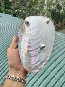 จานเปลือกหอยมุกเวียดนาม จานงานเลี้ยงสุดหรู ผลิตภัณฑ์สั่งทำพิเศษ ขนาด 8 นิ้ว แบบธรรมชาติ - Product Image 2