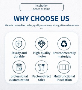 Прямой Оптовый мини-инкубатор для птицы с 56 емкостью лотка для яиц, автоматический вращающий двигатель для инкубации курицы - Product Image 6