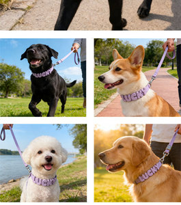 <span class=keywords><strong>Collare</strong></span> <span class=keywords><strong>per</strong></span> cani fai-da-te <span class=keywords><strong>con</strong></span> 26 ciondoli a forma di lettera | <span class=keywords><strong>Collare</strong></span> elastico personalizzabile <span class=keywords><strong>con</strong></span> il <span class=keywords><strong>nome</strong></span> dell'animale, adat - Product Image 4