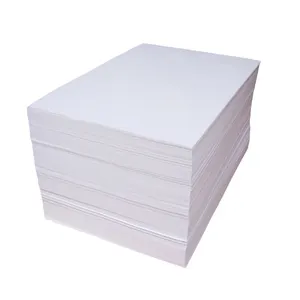 Food Grade PE Coated Paper Sheet Hot Sale Pe Price 100% Wood Pulp 150-320gsm