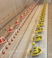 Équipement d'élevage avicole : Ligne complète automatique d'alimentation et d'abreuvement pour poulets de chair