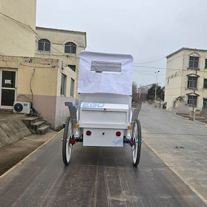 Calèche électrique personnalisable blanche de type Victoria, électrique/à chevaux, capacité de 6 personnes pour des excursions confortables - Product Image 3
