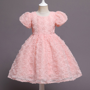 Robe de princesse pour filles, rose, broderie 3D de roses, tulle, coupe trapèze, col rond, costume d'anniversaire pour demoiselle d'honneur - Product Image 3