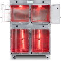 MT medicale nuovo tipo di temperatura calda terapia infrarossa gabbia di ossigeno per animali domestici ospedale camera di ossigeno gabbia animale prezzo - Product Image 2