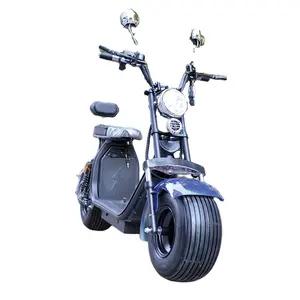 Netherlands warehouse 2018 Cheap mini 3000W kids big fat tire chopper removable Battery citycoco electric motorcycle