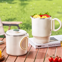 Mini-casserole électrique portable 1L avec fonction économie d'énergie pour la maison, l'hôtel, le dortoir, la voiture et l'extérieur, en acier inoxydable
