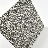 Panneau mural en aluminium mousse réfléchissant argenté 2000x1000x5mm - Cellules ouvertes, métallique, ignifuge, imperméable, écologique, antibactérien