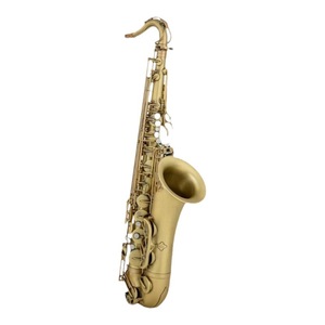 新製品<span class=keywords><strong>B</strong></span>フラットテナーサックスゴールドラッカー付き様々な職人技ブラスヘッド-パフォーマンスグレード試験用 - Product Image 4