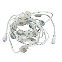 20 pixels DC24V WS2805 RGBIC+CCT 5 couleurs 30mm LED adressable ronde permanente pour l'extérieur, lumières de gouttière de maison, fil blanc 3 broches IP68