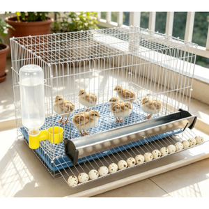 Sistema <span class=keywords><strong>de</strong></span> Jaulas Modulares Resistentes a la Oxidación para el Transporte <span class=keywords><strong>de</strong></span> Huevos <span class=keywords><strong>de</strong></span> Aves, Diseñado para una Gestión Agrícola <span class=keywords><strong>de</strong></span> Alta Eficiencia - Product Image 2