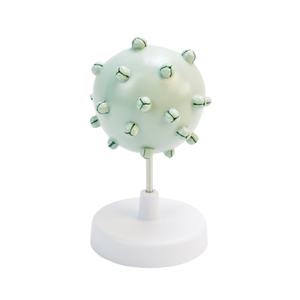 고등학교 생물학 교구 <span class=keywords><strong>HIV</strong></span> 바이러스 해부 모형 해부학적 바이러스 에이즈 세포 모형 - Product Image 5