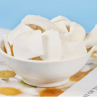 Guoyue Leisure Snacks Potongan Kelapa Beku Kering Gefriergetrocknete Kokosnuss Lyofilizovane Fruits Keripik Kelapa Beku Kering