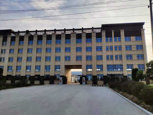 Aditivo alimentario en polvo de quitosano orgánico de alta calidad - Product Image 5