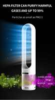 2025 Smart Remote 50 pouces air sans lame circulant refroidissement et chauffage ceinture ventilateur personnalisé avec purificateur d'air Ppf