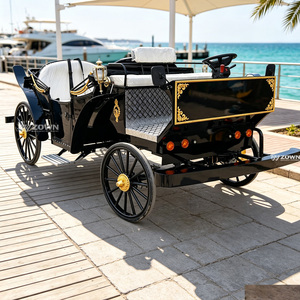 Carruaje Turístico Eléctrico Clásico sin Techo, Carrocería Negra Brillante para Transporte de Ocio en Resorts - Product Image 6