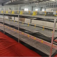 Cage verticale en acier galvanisé en forme de H empilée pour poulets de chair nouvelle condition poulailler ferme oiseau couche batterie Cages