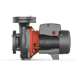 LEO ACm-BF 2 Polegadas 1.5Kw Ferro Fundido Bomba de Água Centrífuga