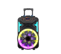 Altavoces Inalámbricos Portátiles para Exteriores de 12 Pulgadas con Bluetooth 5.0, Iluminación LED RGB, Bajos Profundos, Sonido Nítido, 2 Micrófonos, Salida de 20W, Micrófono Integrado