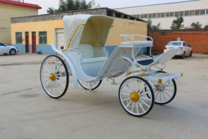 Carroza Eléctrica sin Caballos para Turismo al por Mayor con Asientos Blancos, Elegante, Duradera, Personalizable y Económica - Product Image 5
