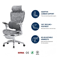 Chaise de bureau ergonomique avec soutien lombaire double, certifiée CE EN 1335, pivotante, inclinable, réglable en hauteur, vente en gros, approvisionnement en vrac direct usine