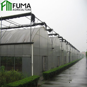 Serra Agricola Commerciale Intelligente a Basso Costo con Copertura in PE Multi-Span per la Crescita delle Piante - Product Image 5