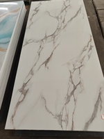 Plaques en PVC marbré UV 1220*2440mm*3mm pour l'intérieur