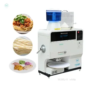 Wanjie Commercial Pasta Maker Machine fully automatic Stainless Steel Manual Noodle Making machine