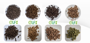 Cibo Secco <span class=keywords><strong>per</strong></span> <span class=keywords><strong>Cani</strong></span> OEM ODM Biologico Senza Aromi Artificiali, Alta Nutrizione, Carne Fresca, Senza Cereali, Favorisce la Cura Intestinale e lo Sviluppo Muscolare, in Confezione - Product Image 5