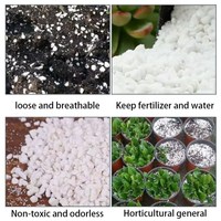 Perlite blanche expansée de haute qualité en vrac pour l'amélioration du sol horticole des plantes de jardin