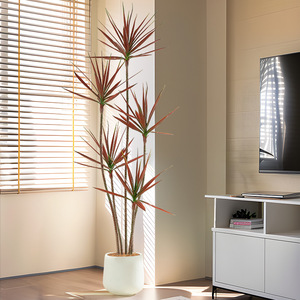 Arbre <span class=keywords><strong>de</strong></span> <span class=keywords><strong>sang</strong></span> du dragon artificiel vert <span class=keywords><strong>vent</strong></span> silencieux ornement décoratif <span class=keywords><strong>de</strong></span> salon sol <span class=keywords><strong>de</strong></span> tequila plante <span class=keywords><strong>de</strong></span> simulation en pot - Product Image 2