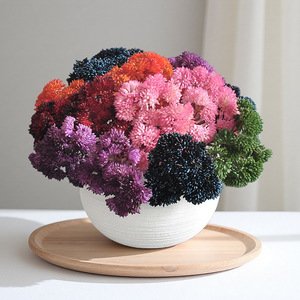 Arrangement de fleurs artificielles Yoshinobu, succulentes réalistes en caoutchouc souple, ornement de bureau pour la décoration de la maison et de l'hôtel - Product Image 2