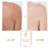 Savon blanchissant artisanal aux herbes en gros, savon de bain et de toilette fait main, produits blanchissants pour la peau, savon de luxe