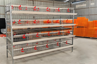Cages à poules pondeuses à haute efficacité, systèmes d'élevage multi-niveaux automatiques en volière libre pour un meilleur bien-être animal, type A/H