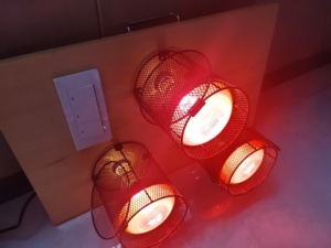 Saunas Exteriores Personalizadas ODM de Alta Calidad, Modernas, de Madera Sólida, de Cedro Rojo, para 2-4 Personas, con Panel de Control - Product Image 1