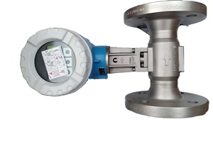 Débitmètre Endress+Hauser d'origine 72F25 DN25 25 mm (1 pouce) en acier inoxydable 316L pour mesurer le débit de liquide/gaz - Product Image 2