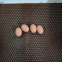 Nouveau Rouleau de Tapis de Nidification pour Poules en Gazon Artificiel PP en Gros, Coussins de Nidification pour Poules, Litière pour Poules, Boîtes de Nidification pour Poules, Tapis de Pondage