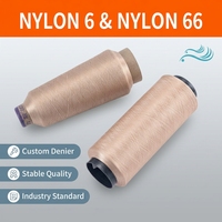 Fil texturé DTY 100 % polyester haute ténacité 100D/48F, écologique, antibactérien, absorbant l'humidité, fabriqué en Chine pour le tissage (matière première)