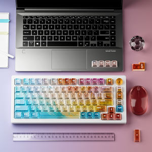 XVX Keycaps Gorgeous-View <span class=keywords><strong>Cherry</strong></span> Profile PC Keycaps 119 touches Tous les commutateurs MX Clones de style MX Personnalisé Mécanique Gaming - Product Image 5