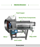 Grande Promotion : Machine Industrielle à Jus de Fruits (Pomme, Ananas, Carotte) – Extracteur de Jus Spiralé Professionnel
