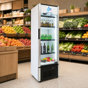 Refrigerador Vertical con Puerta de Vidrio, 238L, Refrigerador Comercial de Una Puerta para Bebidas, Refrigerador con Ventilador - Product Image 2