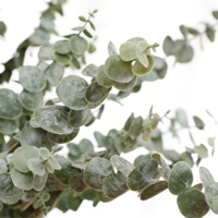 Feuilles d'eucalyptus artificielles en plastique, branche décorative, fleur artificielle, respectueuse de l'environnement, haute simulation, utilisation en intérieur, Noël