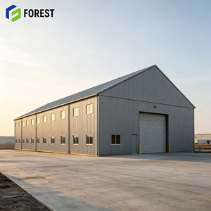 Edificio de Almacenamiento Industrial Modular de Acero de Gran Envergadura, Almacén de Carga Prefabricado Personalizado - Product Image 1
