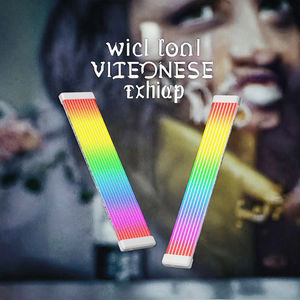 TEUCER RGB ARGB ATX 8pin 24pin GPU doppio triplo PSU cavo di prolunga Kit cavi In Stock RGB PSU strisce accessori per Computer - Product Image 2