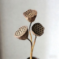 Lotus séché à double fleur avec tiges naturelles pour art aquatique, centre de table de mariage, décoration bohème pour la maison