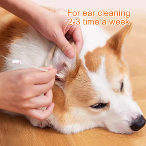 50 Unidades por Caja, Productos para Mascotas, Hisopos de Algodón Llenos de Líquido para Animales, Hisopos de Algodón para Oídos de Perro - Product Image 4
