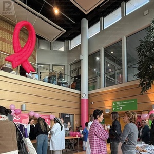 ริบบิ้นสีแดงเป่าลมขนาดใหญ่ รุ่นโบว์สีแดงเป่าลม พร้อมไฟ LED ส่องสว่างเพื่อสร้างความตระหนัก สำหรับแคมเปญสุขภาพ/กิจกรรมสาธารณะ/โปรโมชั่น - Product Image 5