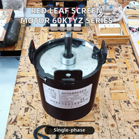 Moteur électrique monophasé pour écran de projection 60KTYZ-B 60KTYZ-C 60KTYZ-D Technologie synchrone à aimant permanent Red Leaf