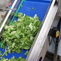 Roestvrijstalen Automatische Groente Fruit Lift Aangepaste Voedselverwerkende Machine Ts T30